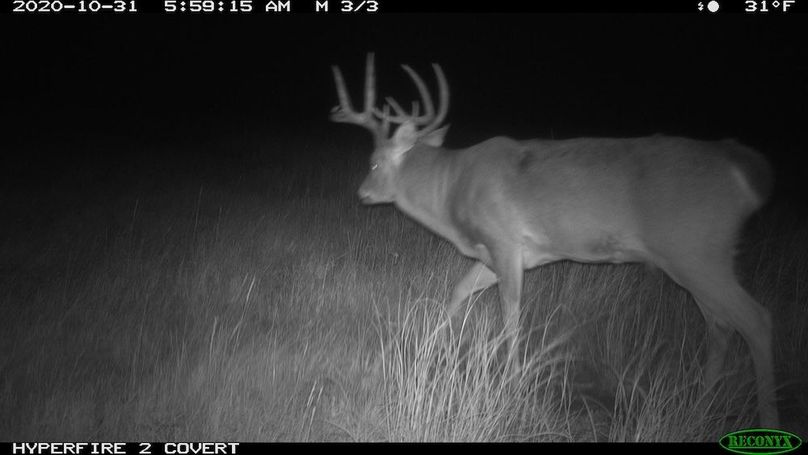 Copy of Copy of RCNX0062