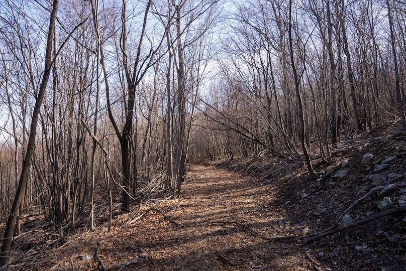 Copy of Hampshire WV 200 Featured_Pro Photo-12