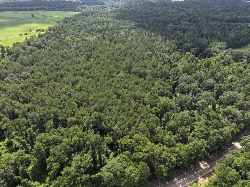 dji_fly_20250708_104734_0200_1752089893902_photo