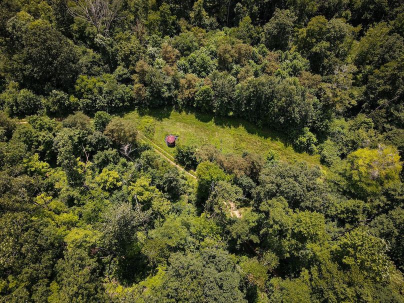 dji_fly_20230808_142110_956_1691518882975_photo