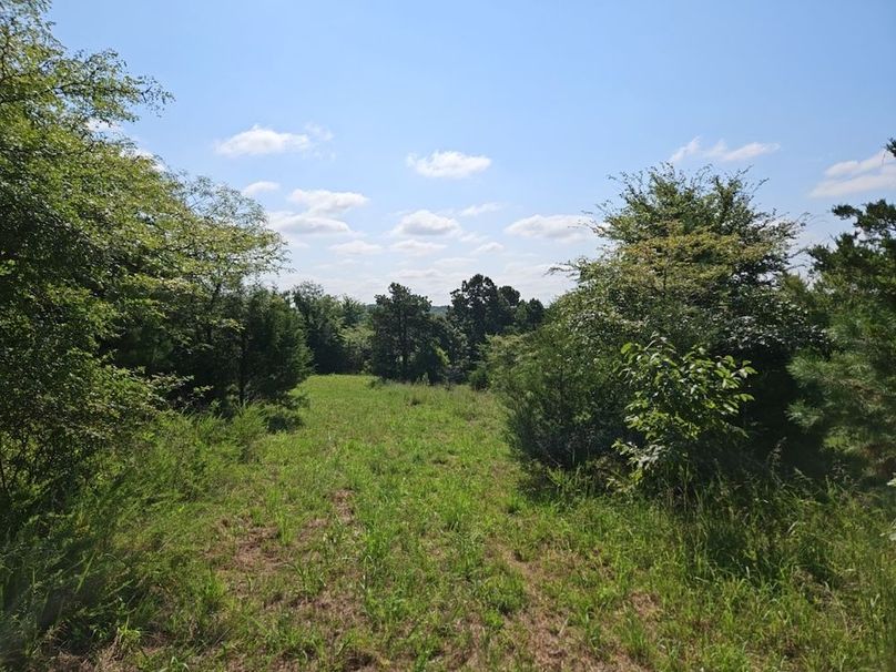 DJI_20240808_101556_123