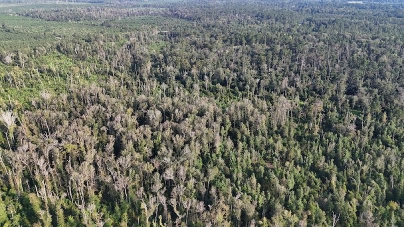 dji_fly_20250903_215812_0014_1756926960573_photo