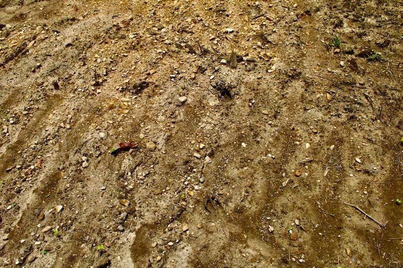 095BCD62-5AEB-4DDF-B8C5-C8A51D6C4389_1_105_c