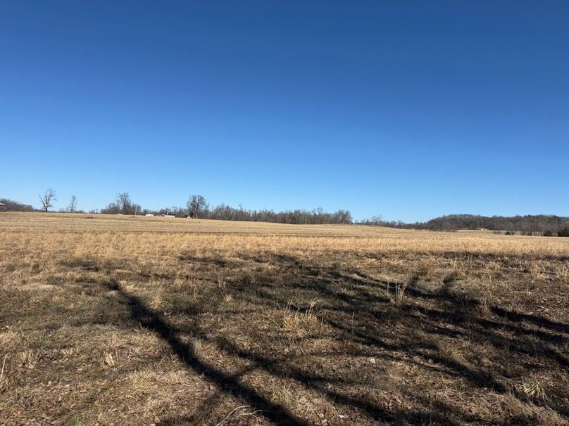 008 view across the tillable fields from the east boundary