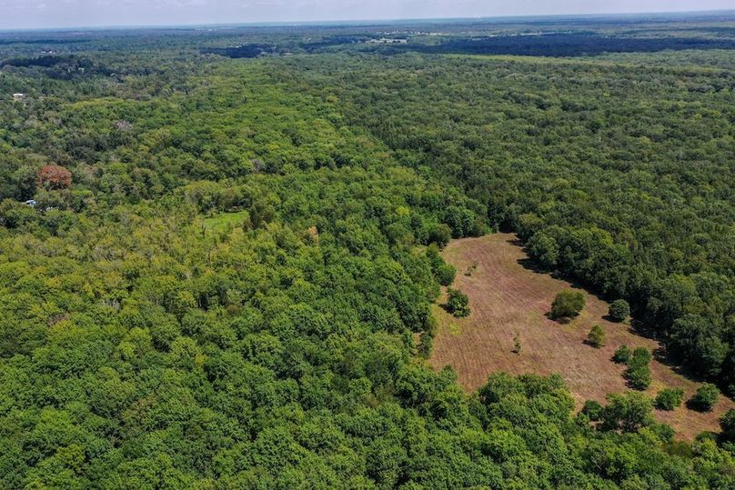 42 Leon Co. 117ac-24