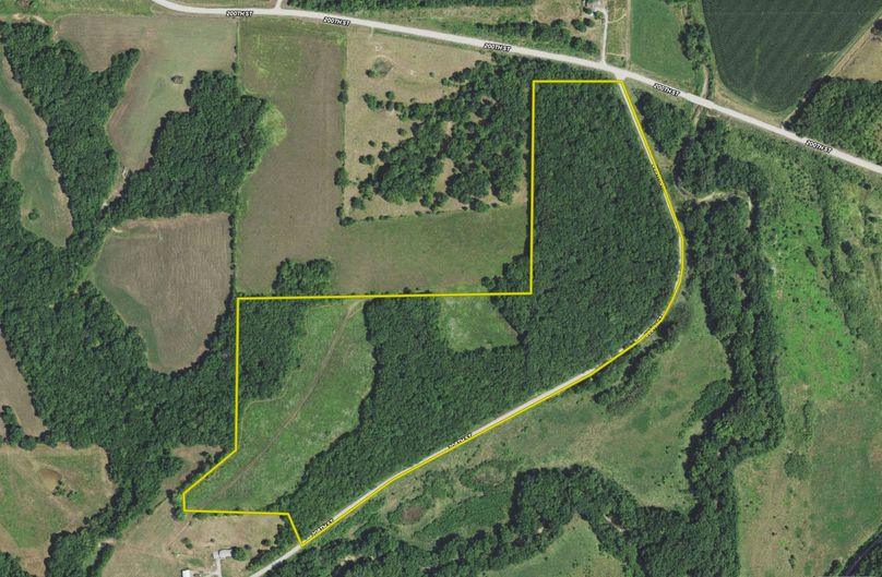 Henry 44 Map - _0000_01 aerial