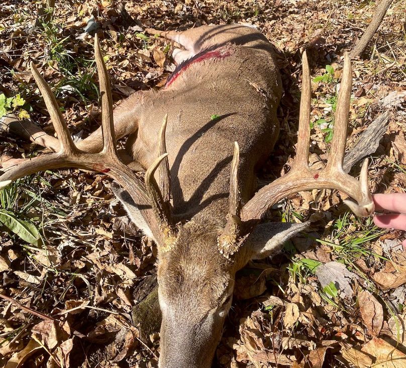 4A188A0C-8DD3-4F50-9240-1A771BD446ED-preview