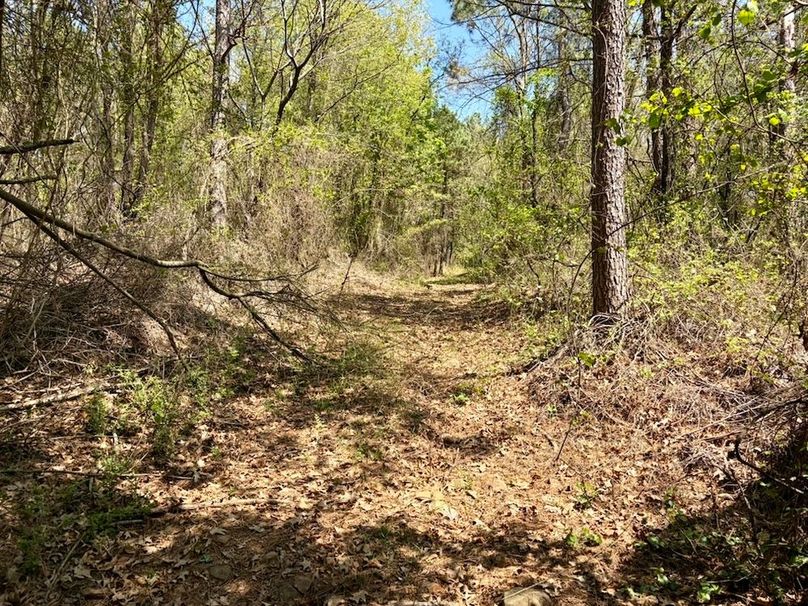 7B3BF557-FC5A-4C7B-AD9A-C16A5F6B4E0B_1_105_c