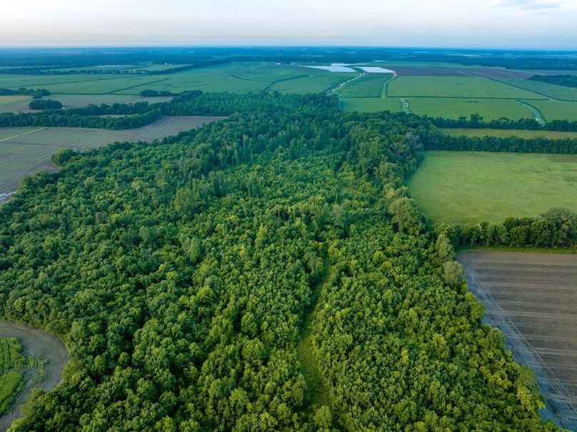 Copy of Noxubee 70 +- Tract 3-25