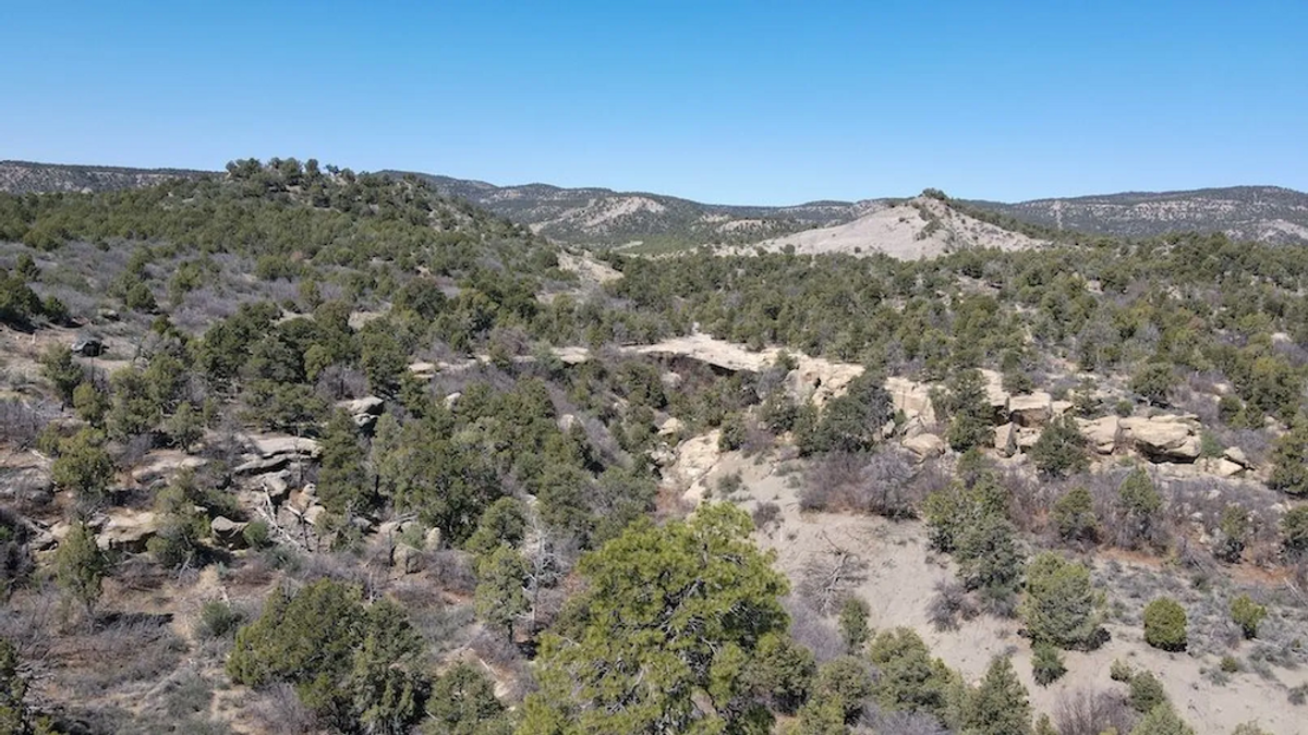 Southwest Colorado Hunting Tract Whitetail Properties