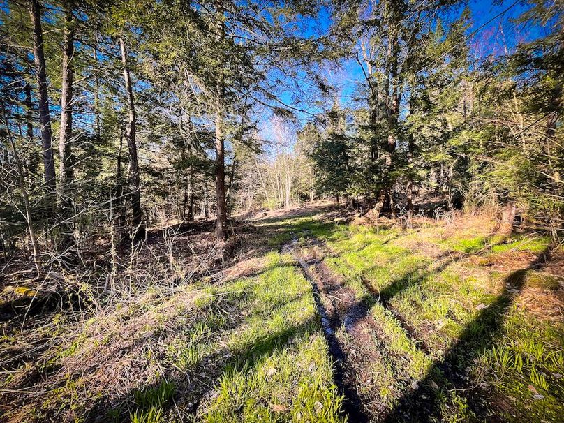 Oswego_17.88_Feld_Photos_71