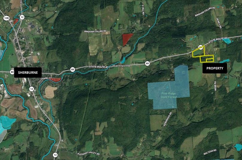 Chenango 40 Smith Estate Wide Area