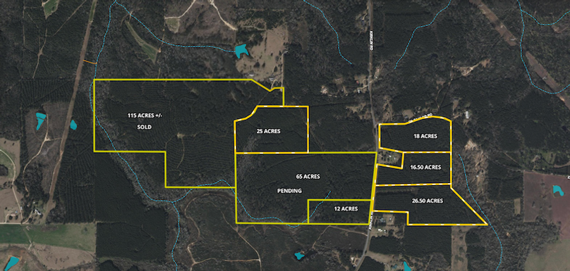 Screenshot 2025-05-29 at 10.31.02 PM