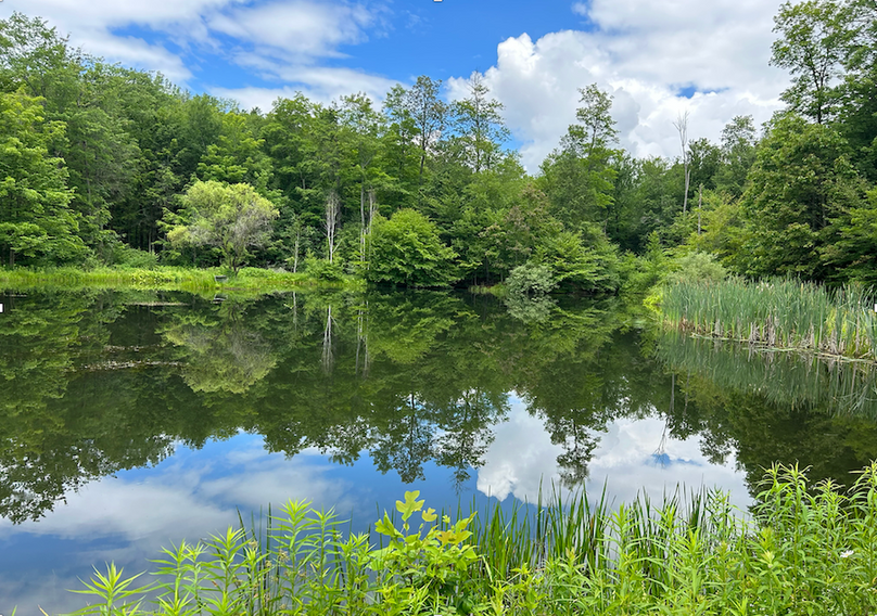 Tioga_28.87_Shangraw Photo 27c