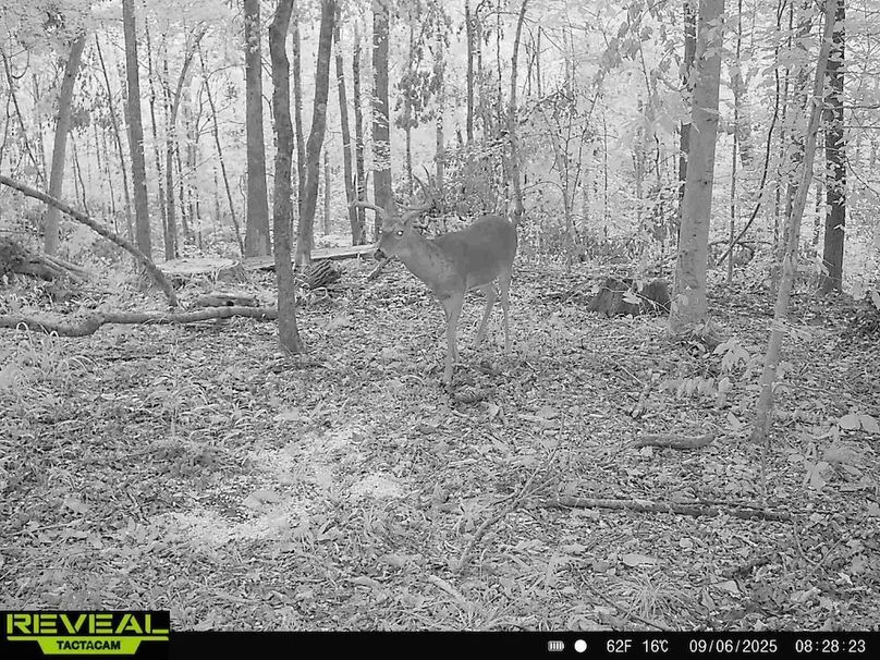 865814048504425-100-2-09062025082822-HD-W1000634