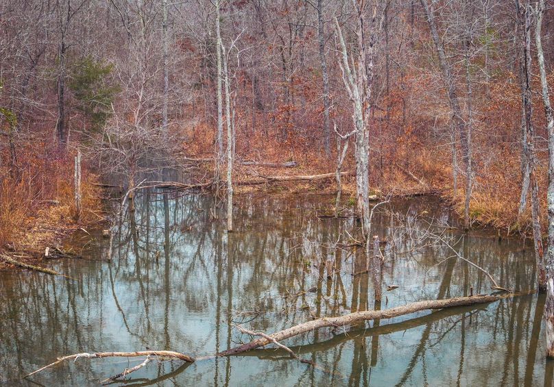 DJI_20251204055139_0305_D