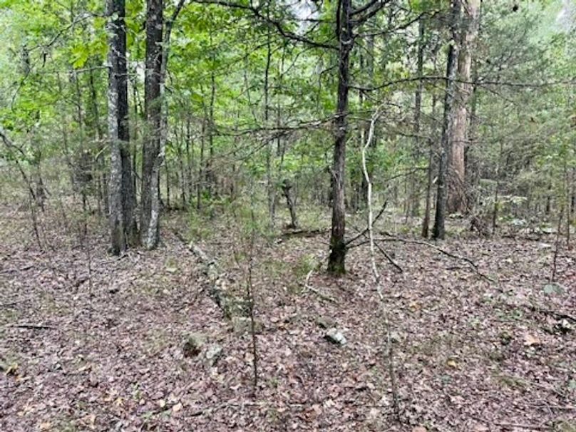 E95EA642-4962-4346-BC0F-73B0D339ABF6_4_5005_c