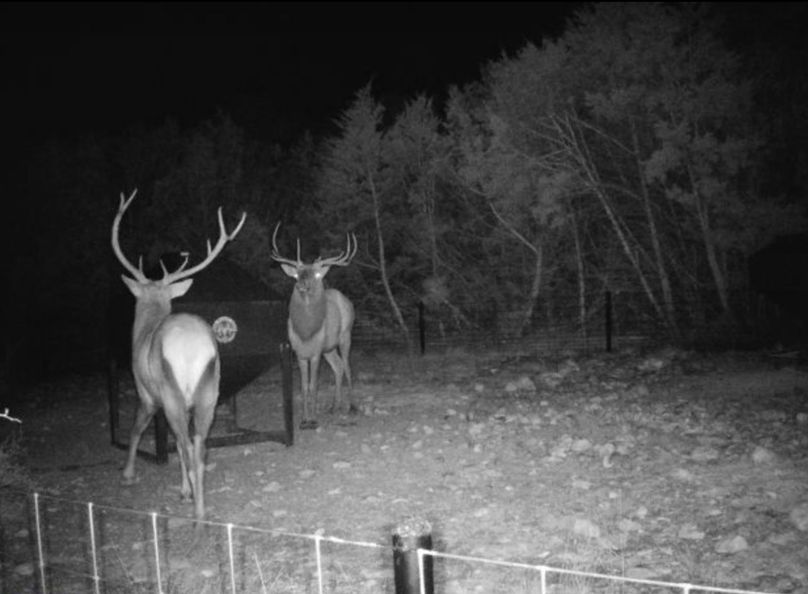 Screenshot_Ed60126_204835_Photos