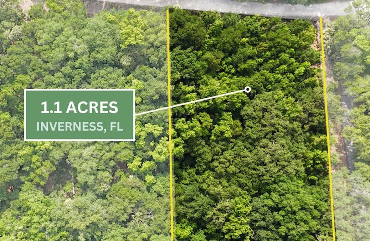 1.01ac, Citrus, Josiah Ronco00