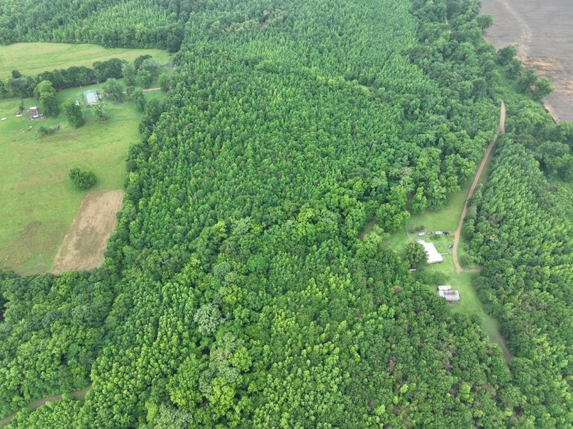 dji_fly_20260523_120046_476_1779631871179_photo