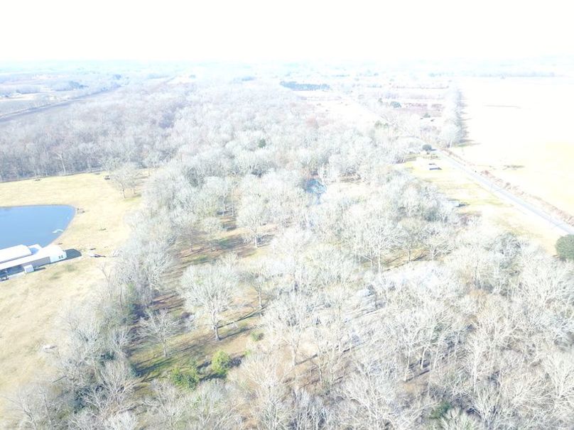 DJI_0002