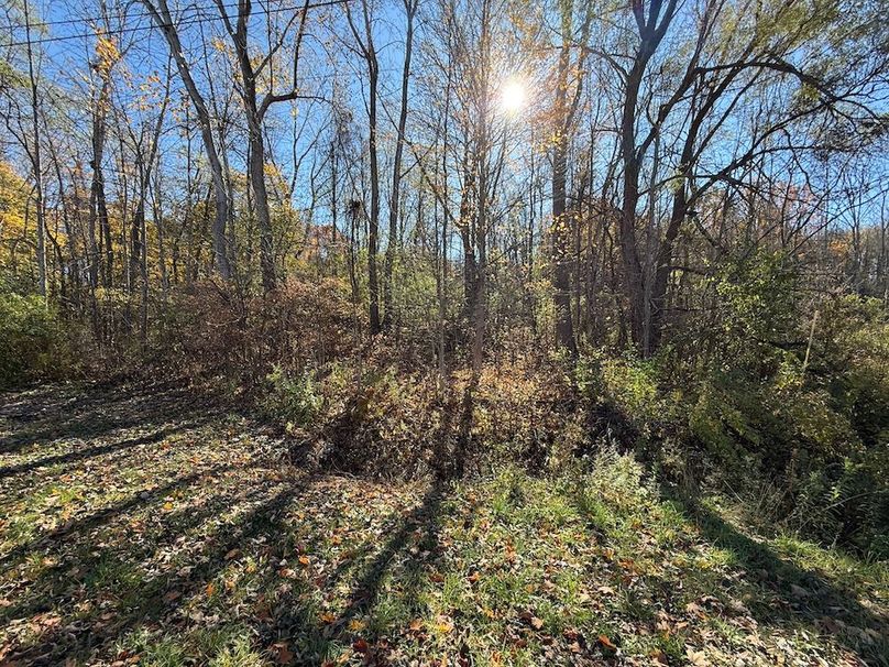 Wayne_18.11_Koehler Photo 4