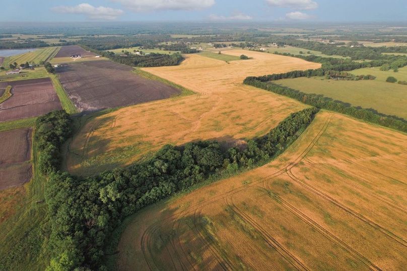 Lamar County- 92.66 Acres (10 of 29)