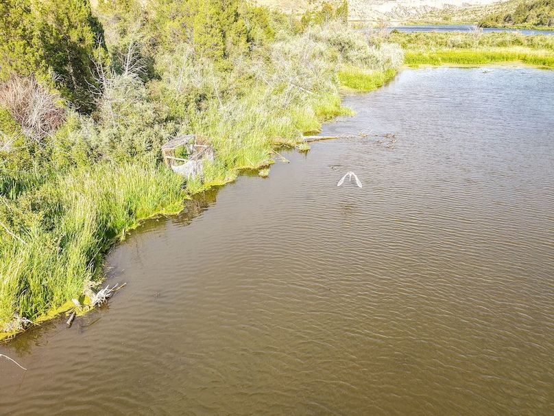 20250728-DJI_20250728182956_0015_D