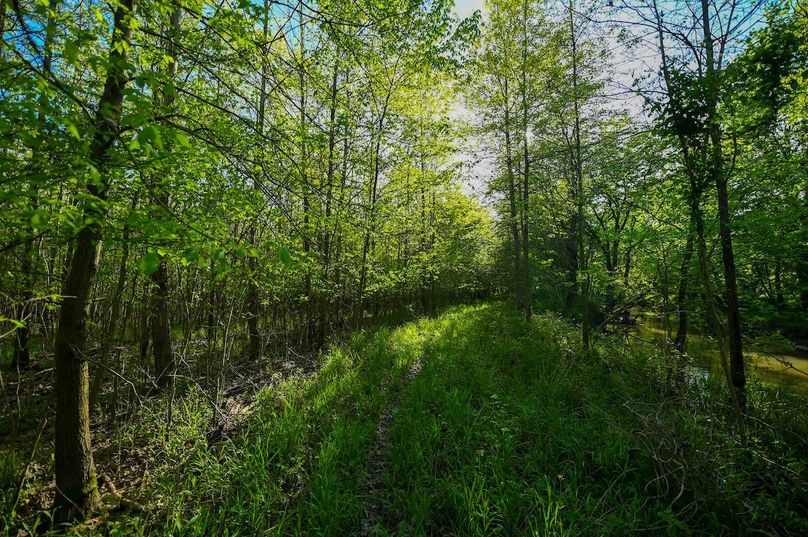 vandalia 450 (2)-3035