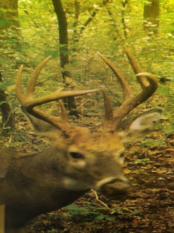 59383452384__CC7590E0-E5A7-4A9B-A78B-279C97A8F1C6