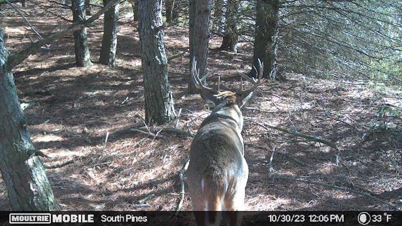 Temp_1082383-20231030170701-20231030120615_000729