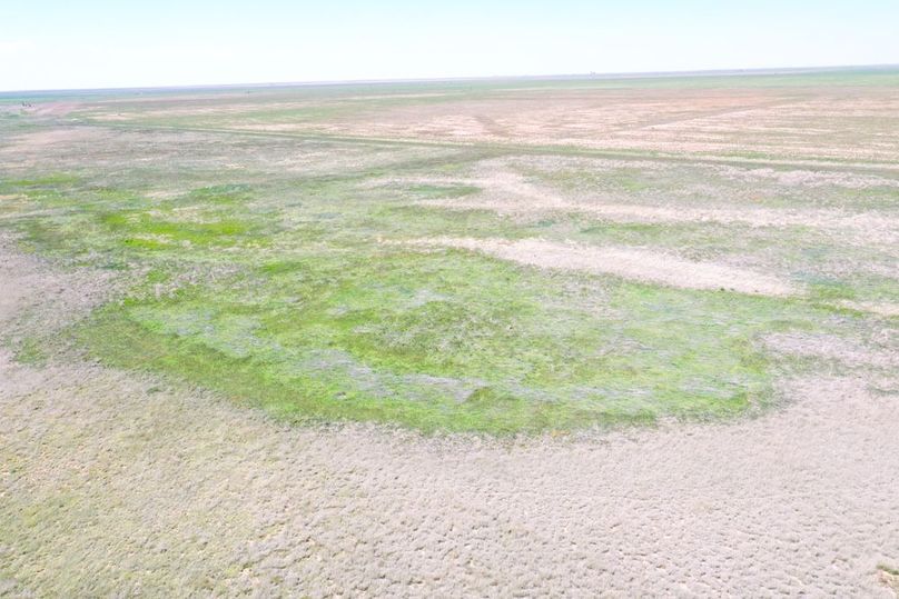 DJI_0666