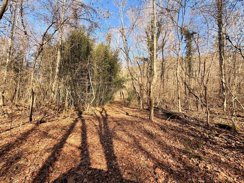 Roane Co TN 396 20251127_87