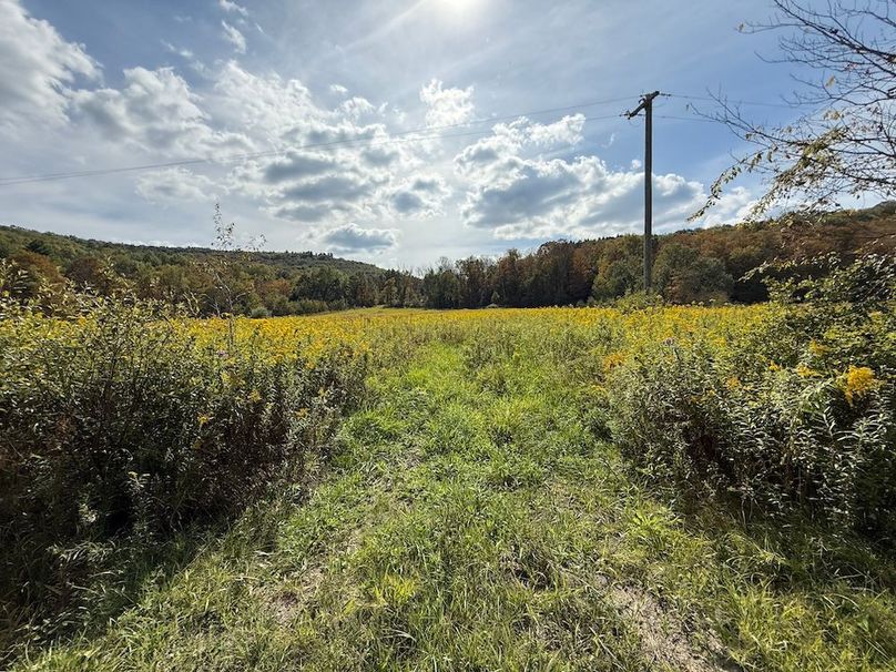 Tioga_30_Flanner Photo 15