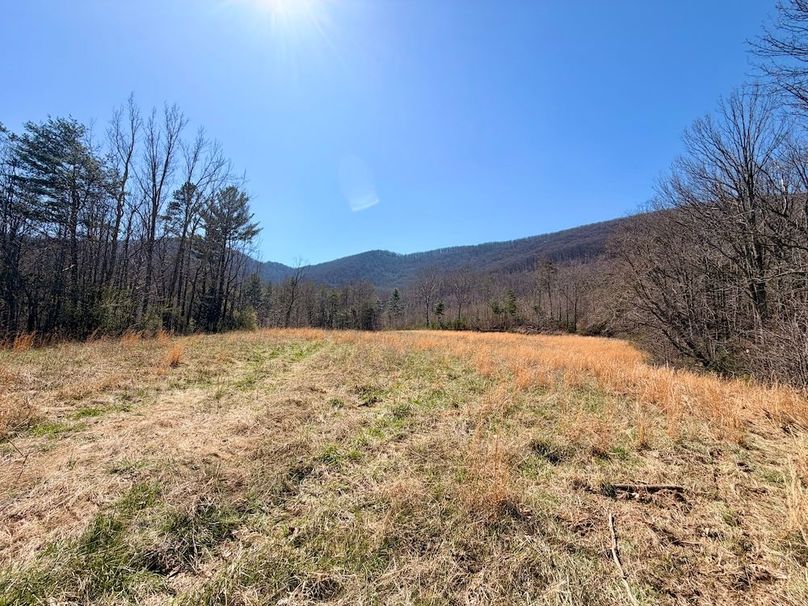 Morgan Co TN 310.833 Schneller_68