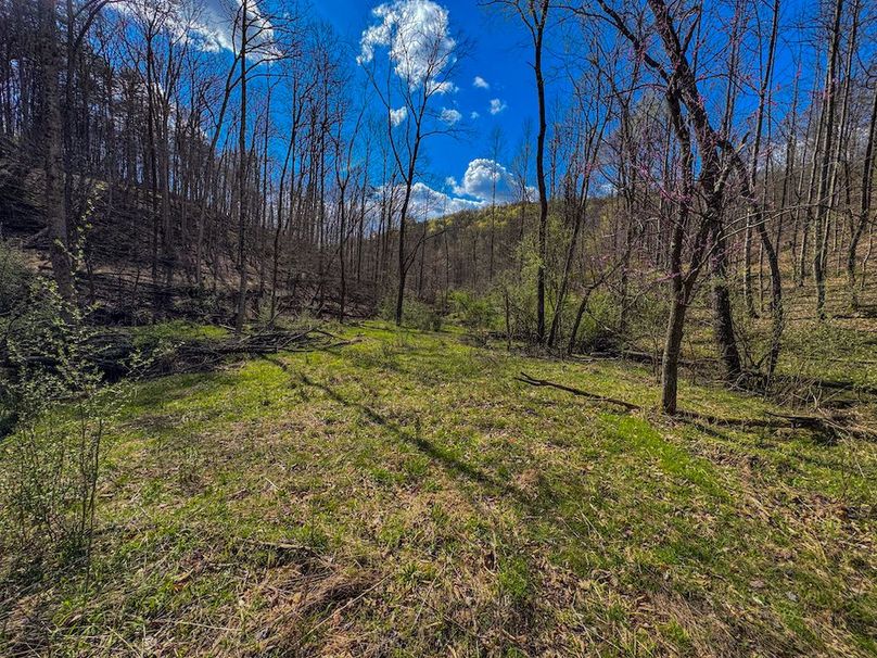 Wirt, WV 156.941 AC Full-31