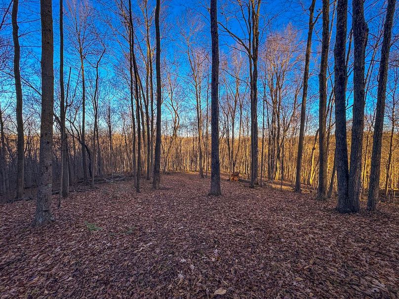 Pleasants_Wood 169.97 AC Cokeley-51