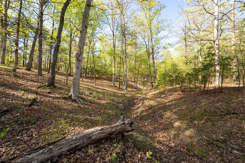 Hampshire WV 106 Featured_Pro Photo-33