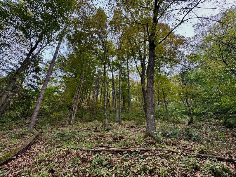 Richland 199Ground - 67