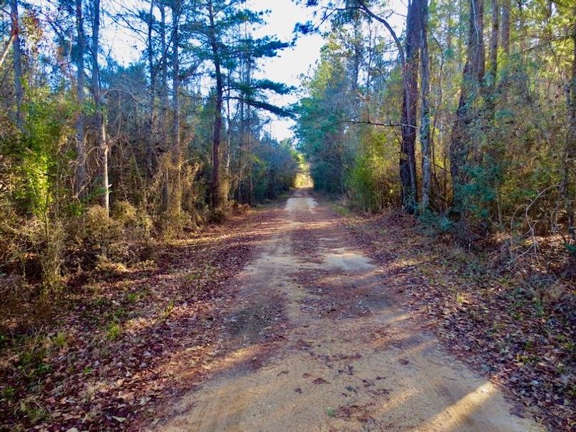 AD6593E6-C08C-4D7B-848B-80EEA2CC1445_1_105_c