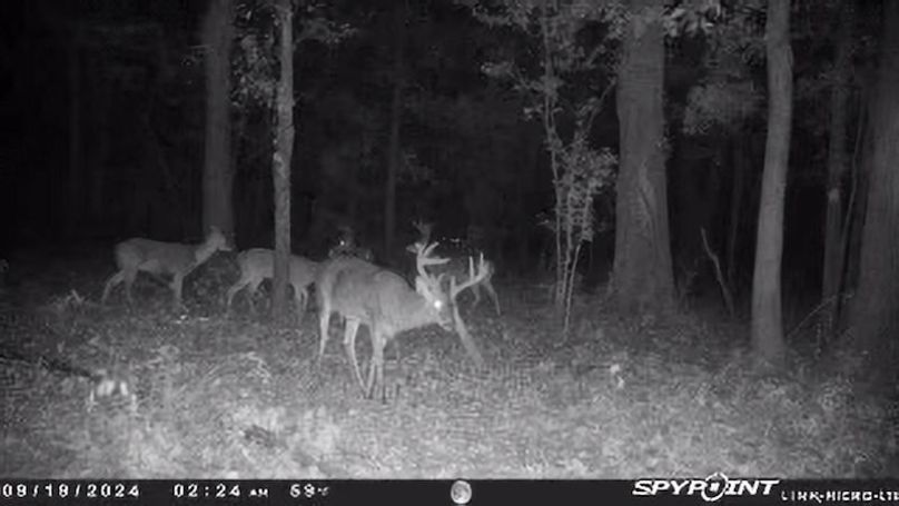 Tallahatchie 847 Trail Cam (JPG)-18