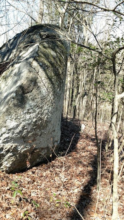 IMG_20170226_114722143