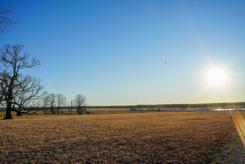 DSC02466bluestem
