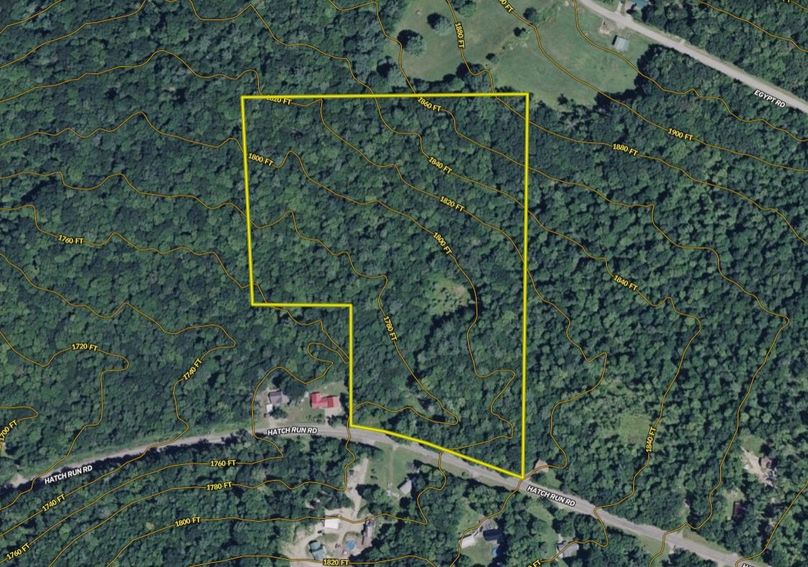 Screen Shot 2026-02-04 at 2.26.33 PM