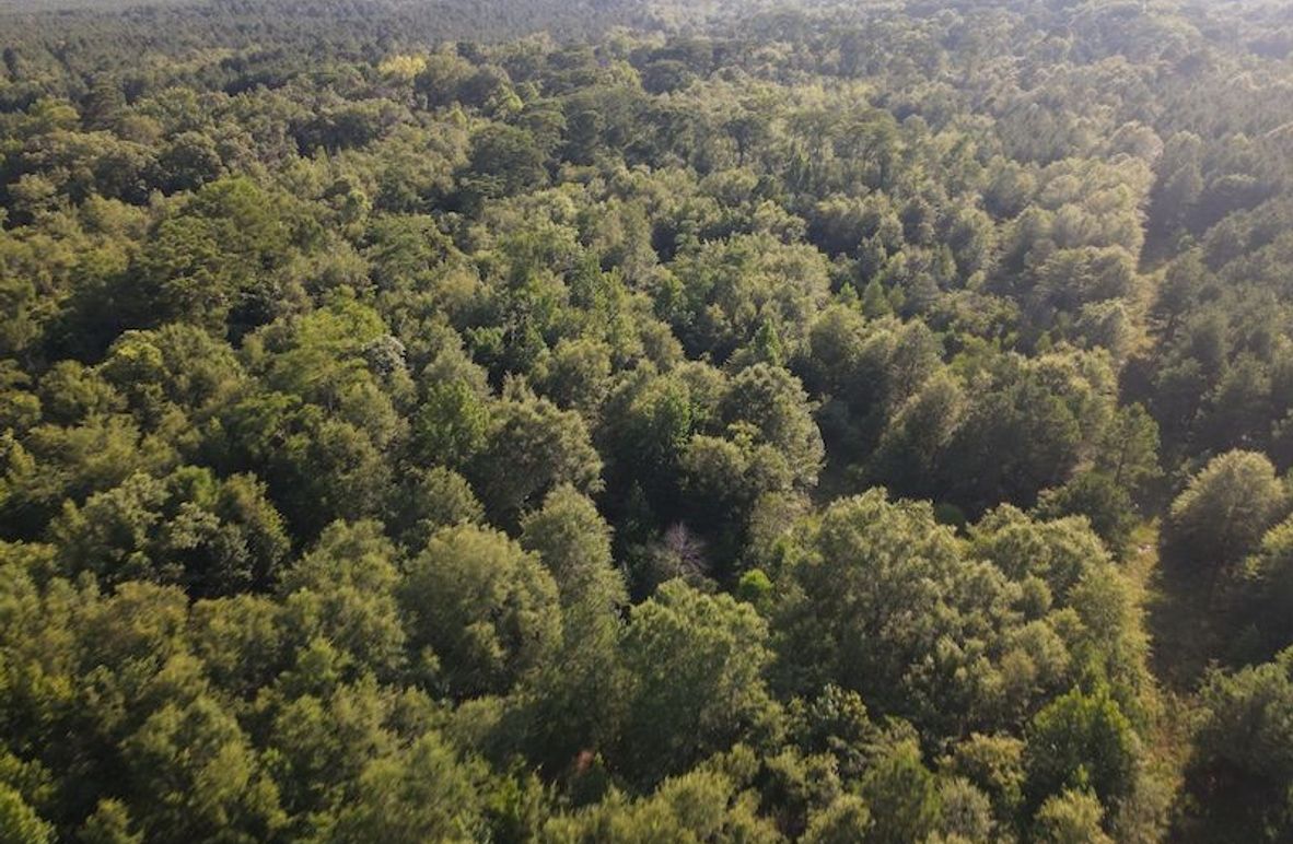 DJI_0604
