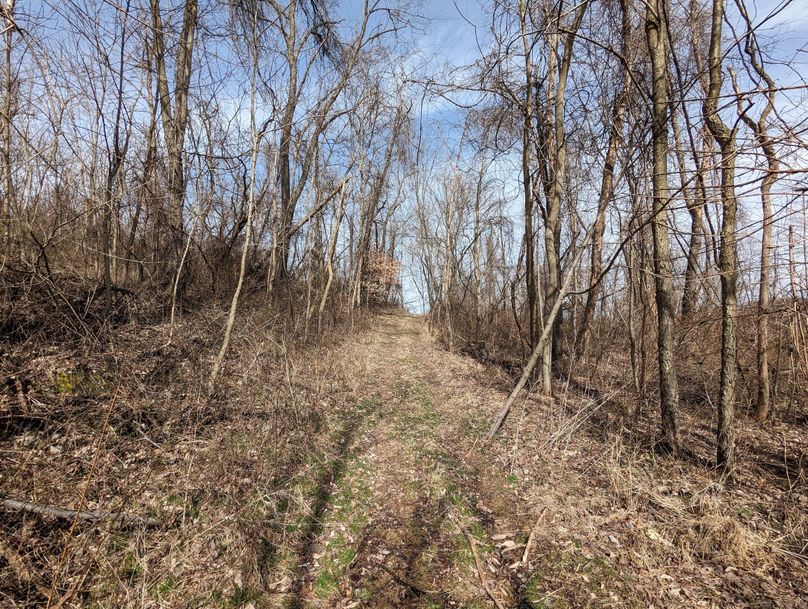 PXL_20230301_162441566.MP