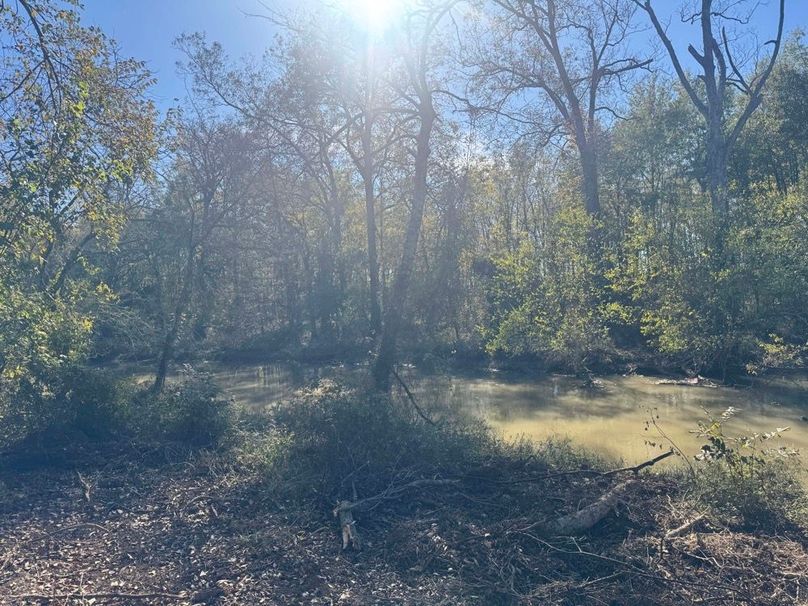 1a1 jeff 8320251111_0271