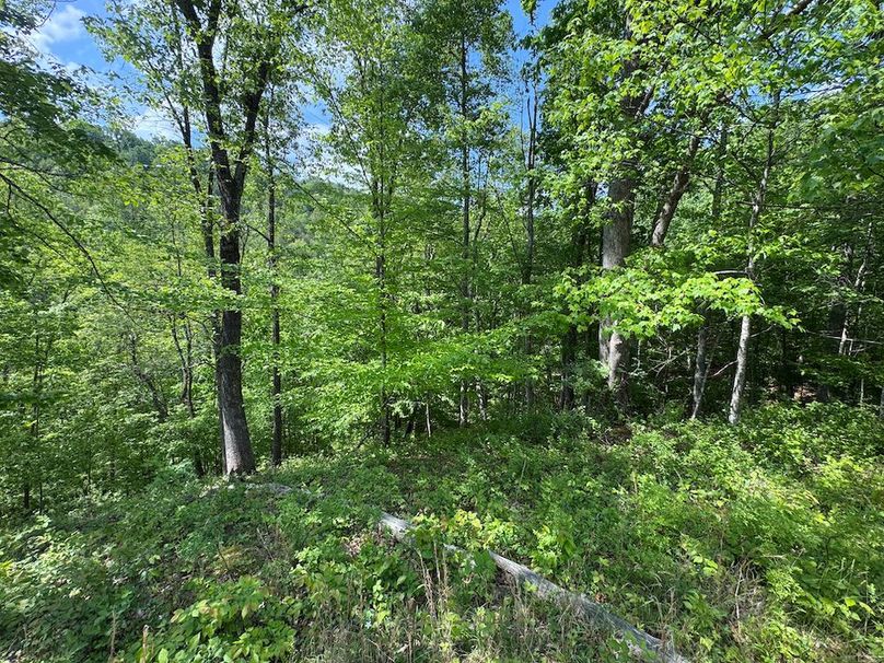 Calhoun, WV 29 AC Minney-20