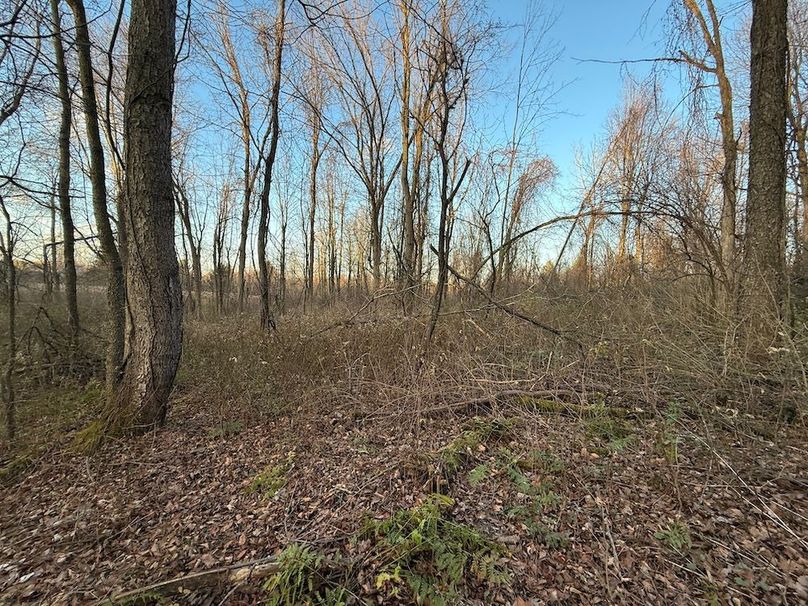 Wayne_29.09_BD_LandParcel_16