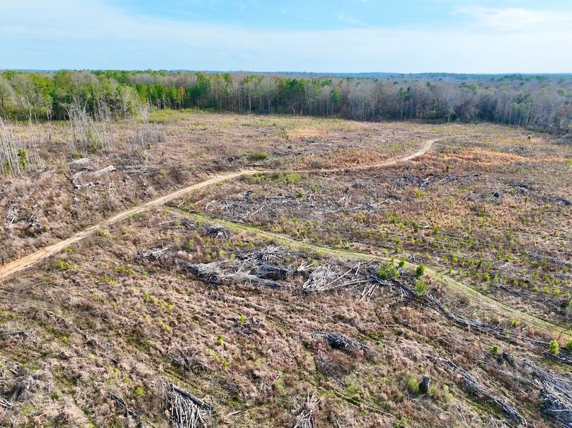 05D1A0F9-FDD4-442D-8B77-938D65940F22_1_201_a